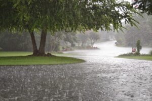 monsoon rains