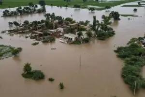 Phalia