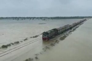 train