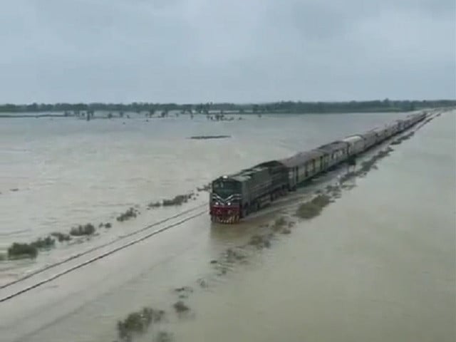 train