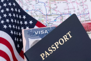 visa fee