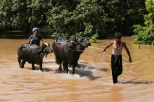 Floods