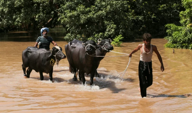 Floods