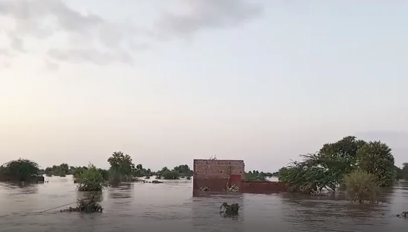 Jhang