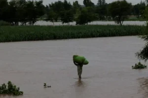 India