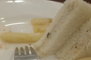 Cockroach