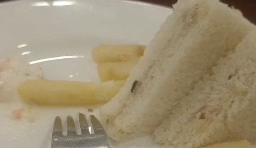 Cockroach