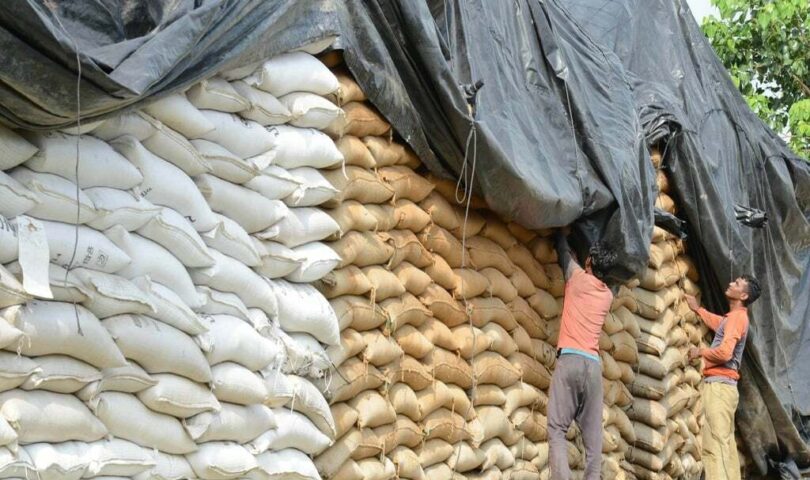 wheat hoarding