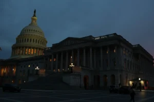 government