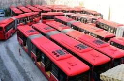 Free public transport