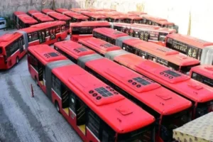 Free public transport