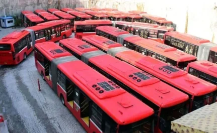 Free public transport