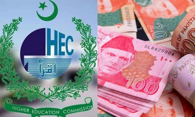 higher education