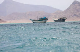 Houthis