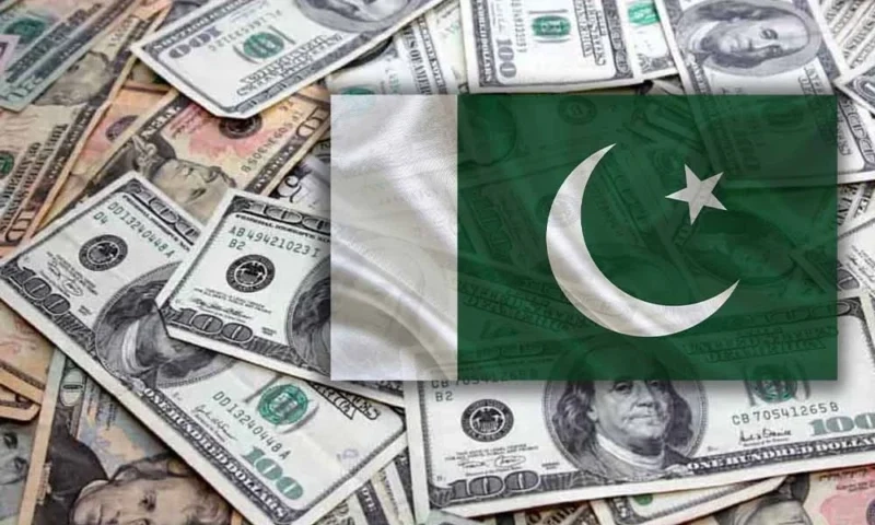 Pasban remittance