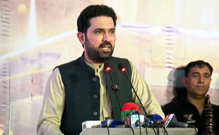 parliamentary party